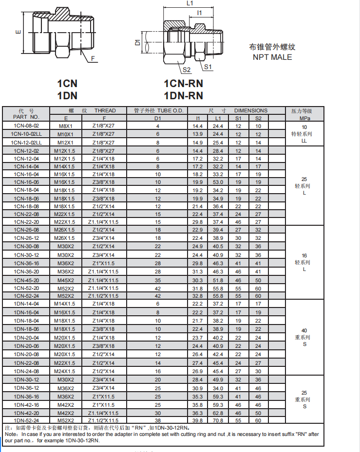 3、1CN.1DN.png